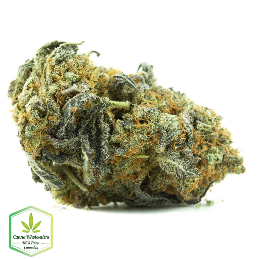 Blueberry Cookies – Craft Gardens