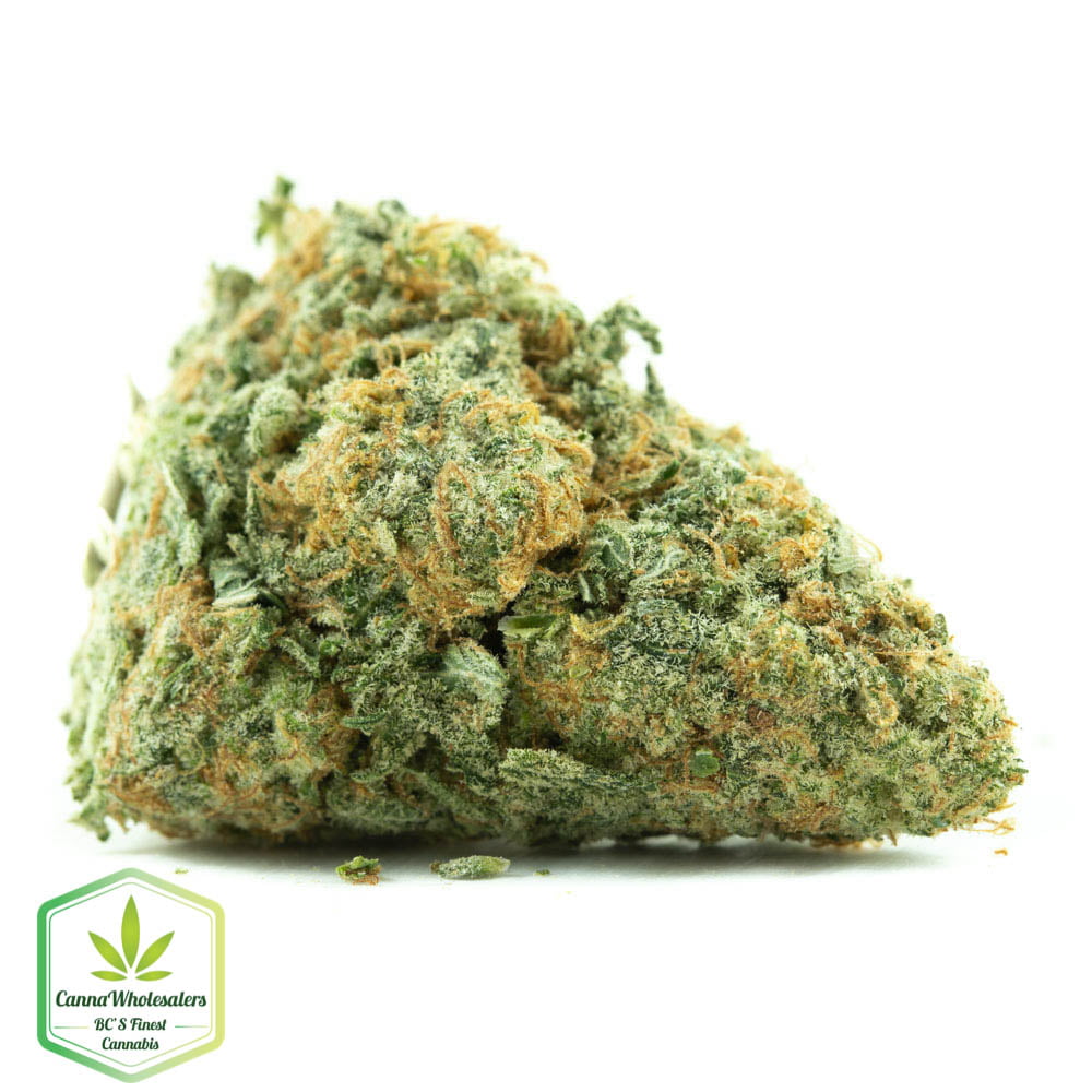 Platinum Cookies- Craft Gardens