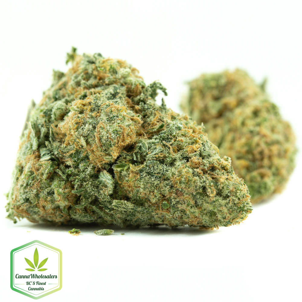 Platinum Cookies- Craft Gardens