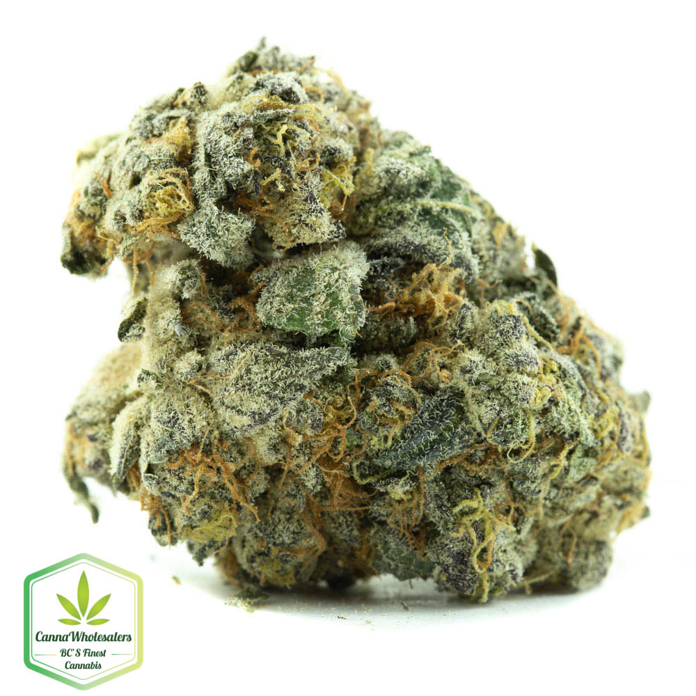 Cherry Thunder Fuck – Craft Gardens