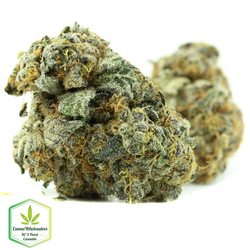 Cherry Thunder Fuck – Craft Gardens