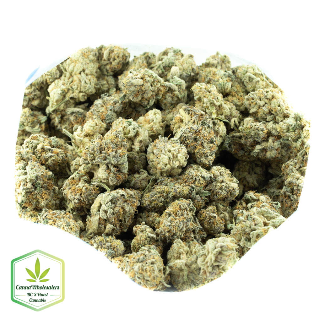 Cherry Thunder Fuck – Craft Gardens