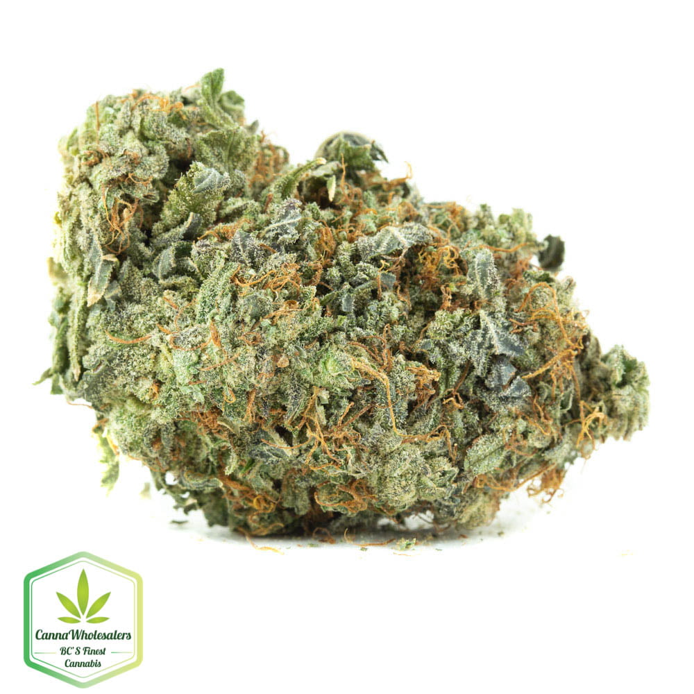 GG4 Original Gorilla Glue