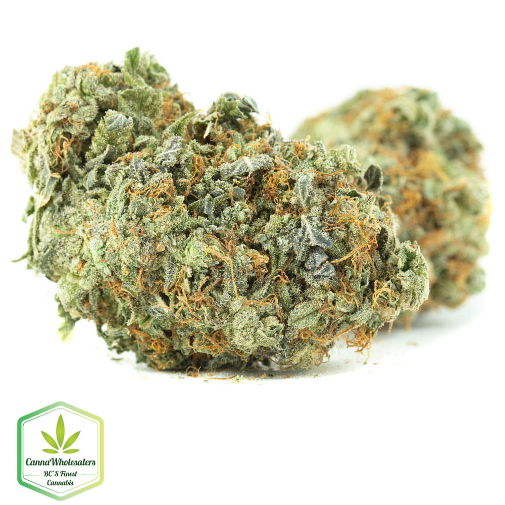 GG4 Original Gorilla Glue