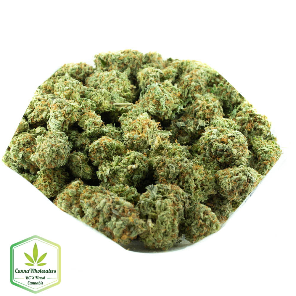 GG4 Original Gorilla Glue