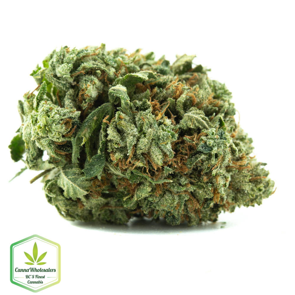 Ice Wreck – Budget Ounce