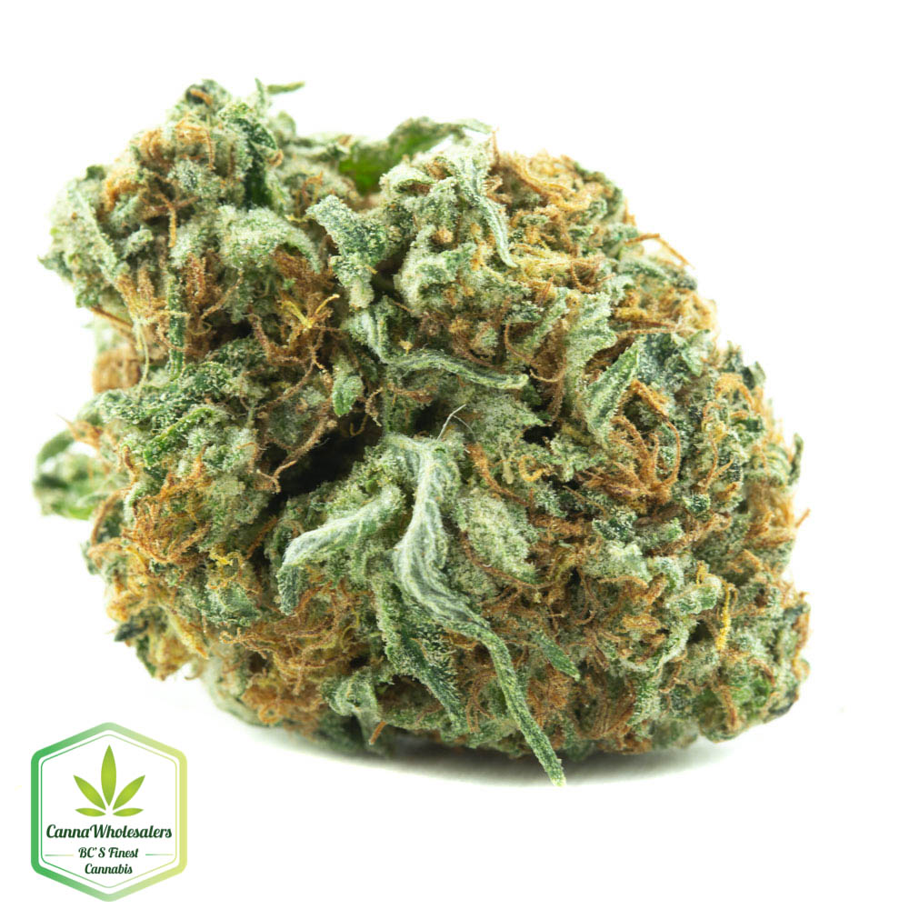 Venom OG