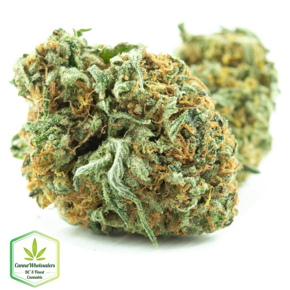 Venom OG
