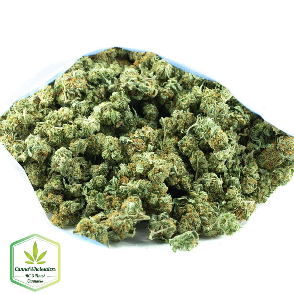 Venom OG