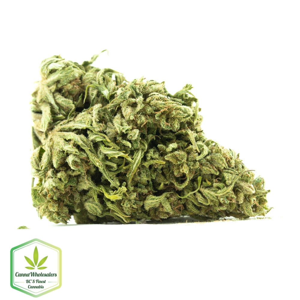Suzy Q (CBD)