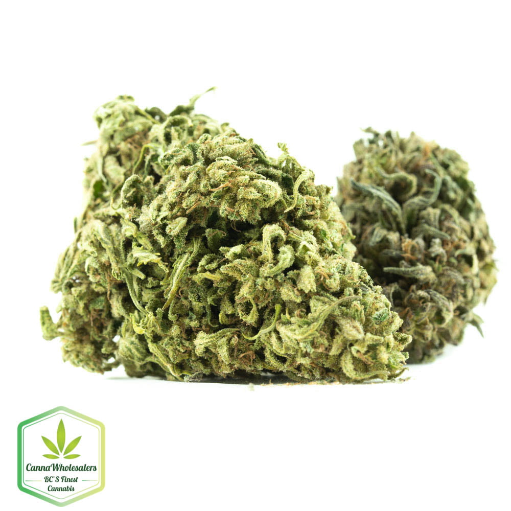 Suzy Q (CBD)