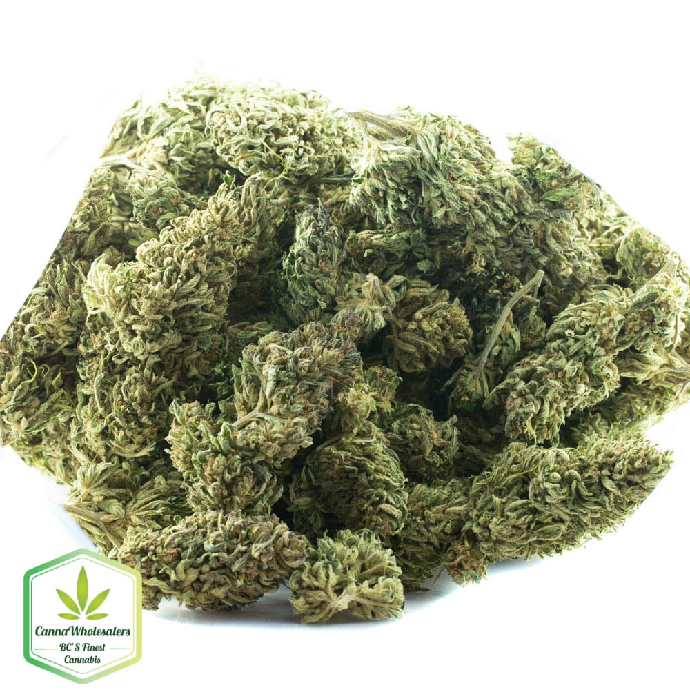 Suzy Q (CBD)