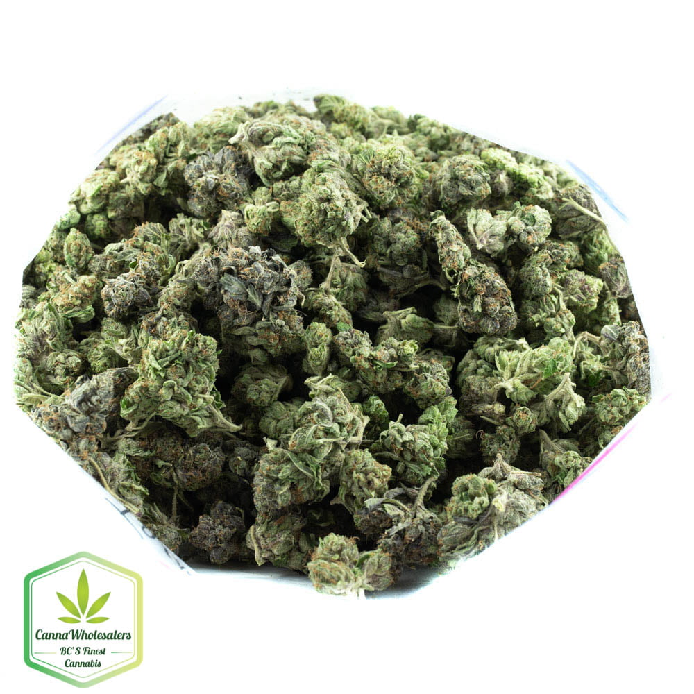 Irene OG – Budget Bulk AAA+