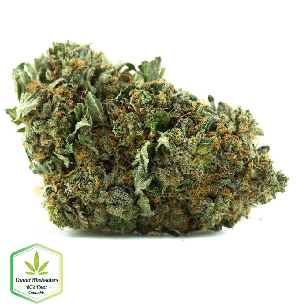 Master Bubba – Budget Ounce