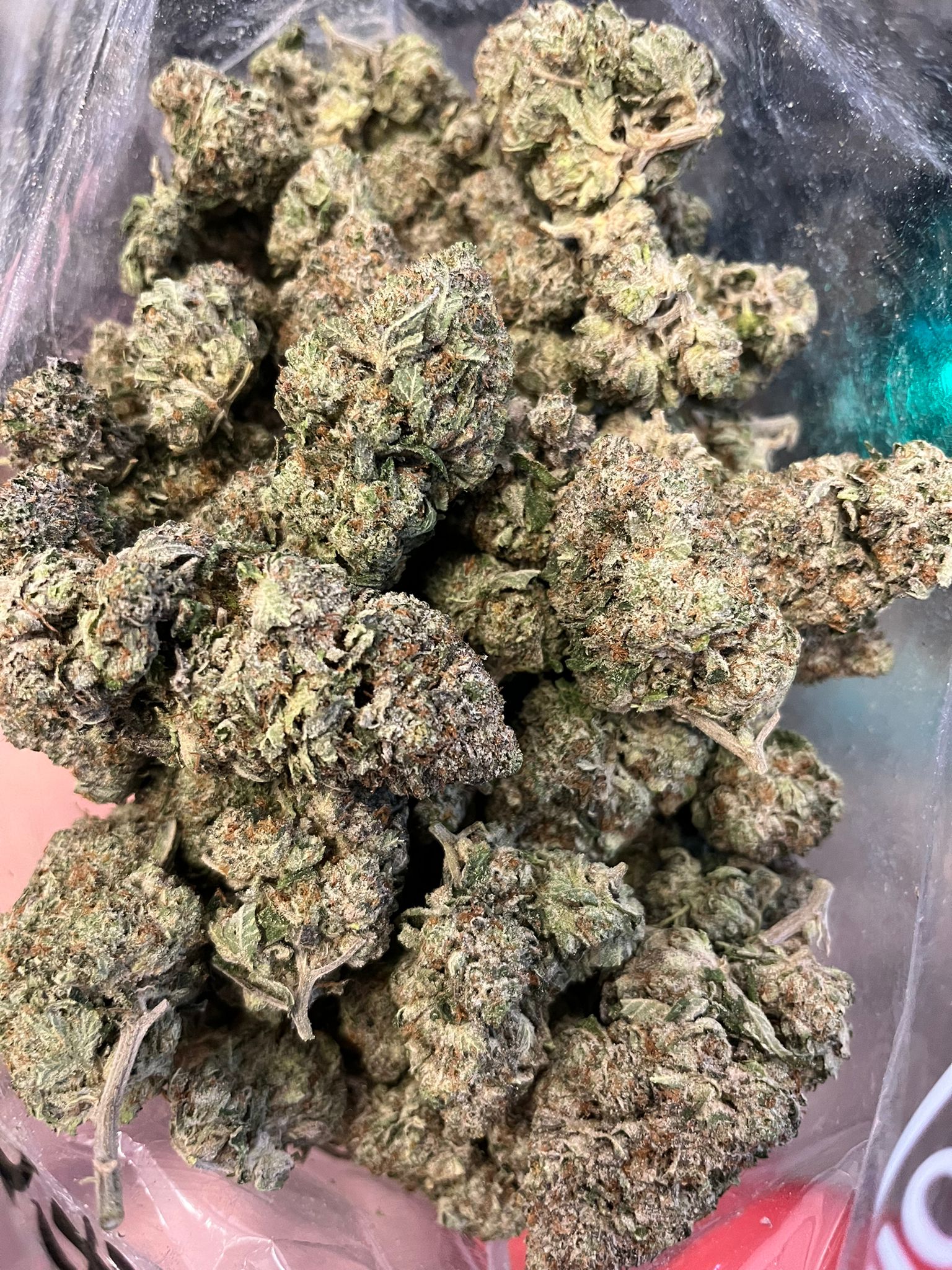 Jungle Cake
