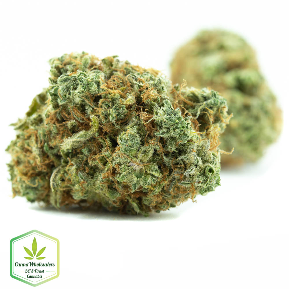 CBD Mango Haze