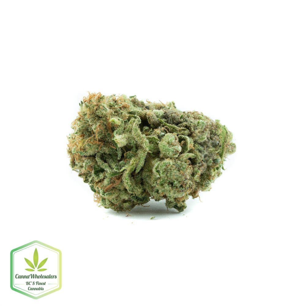 ChemWreck
