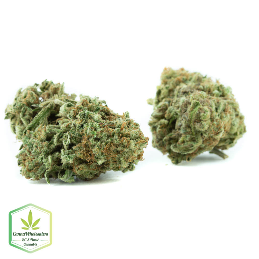 ChemWreck