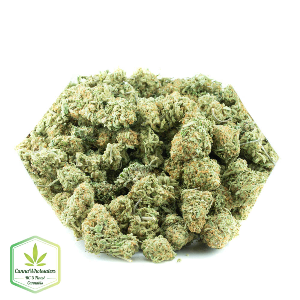 ChemWreck