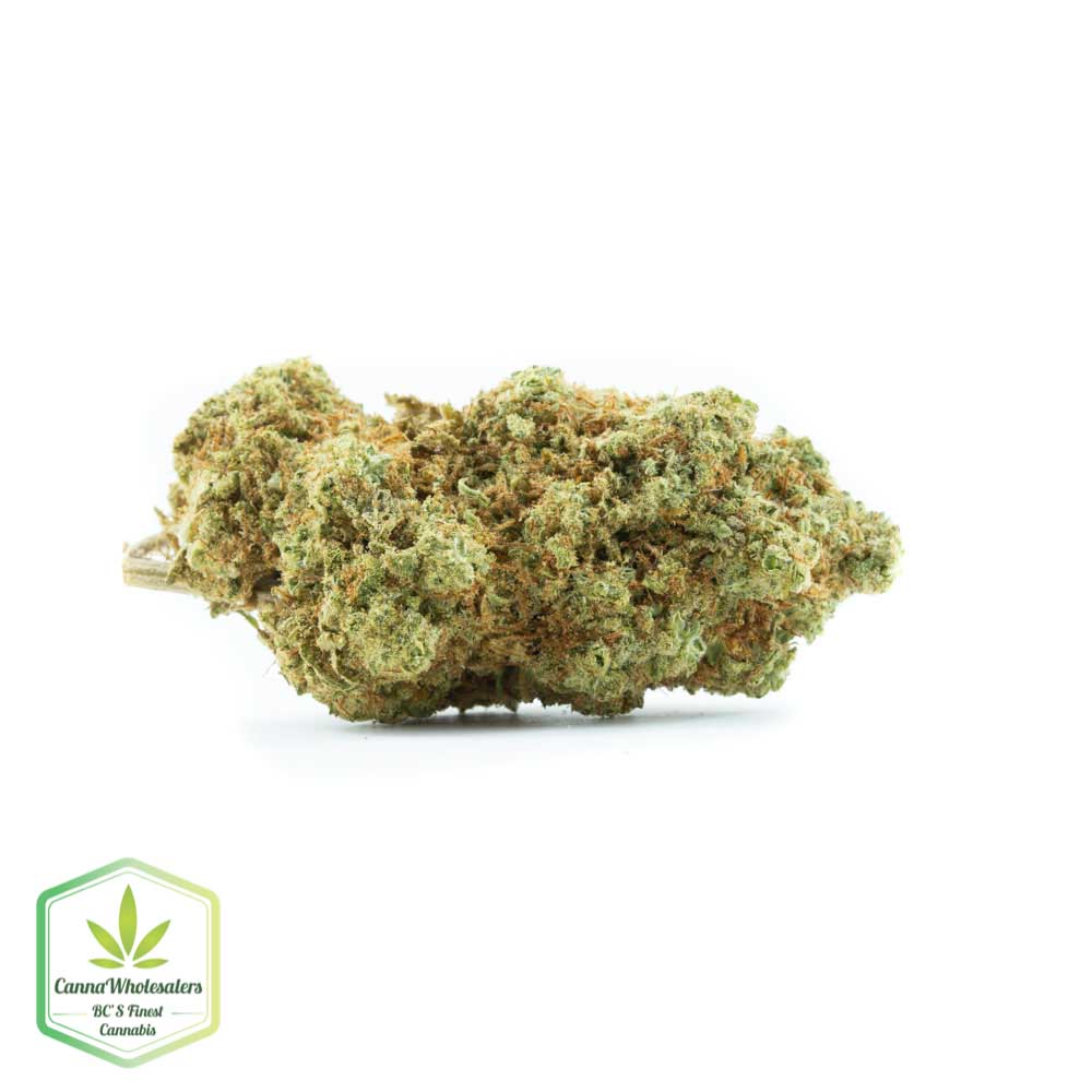Jet Fuel