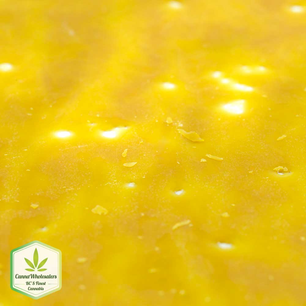 White Cookies Shatter (High Grade)