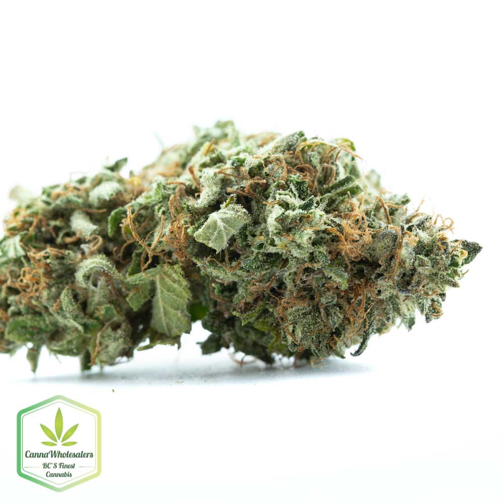 White Cookies