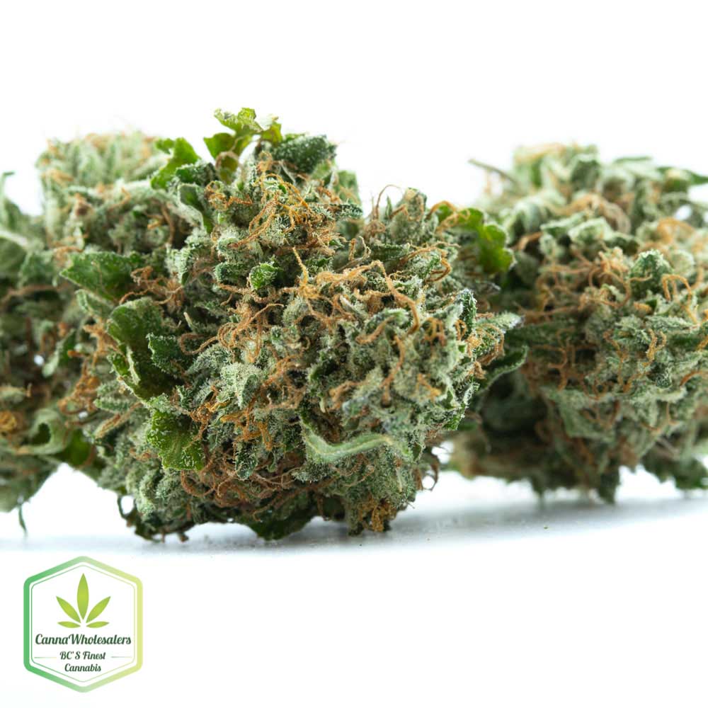 White Cookies