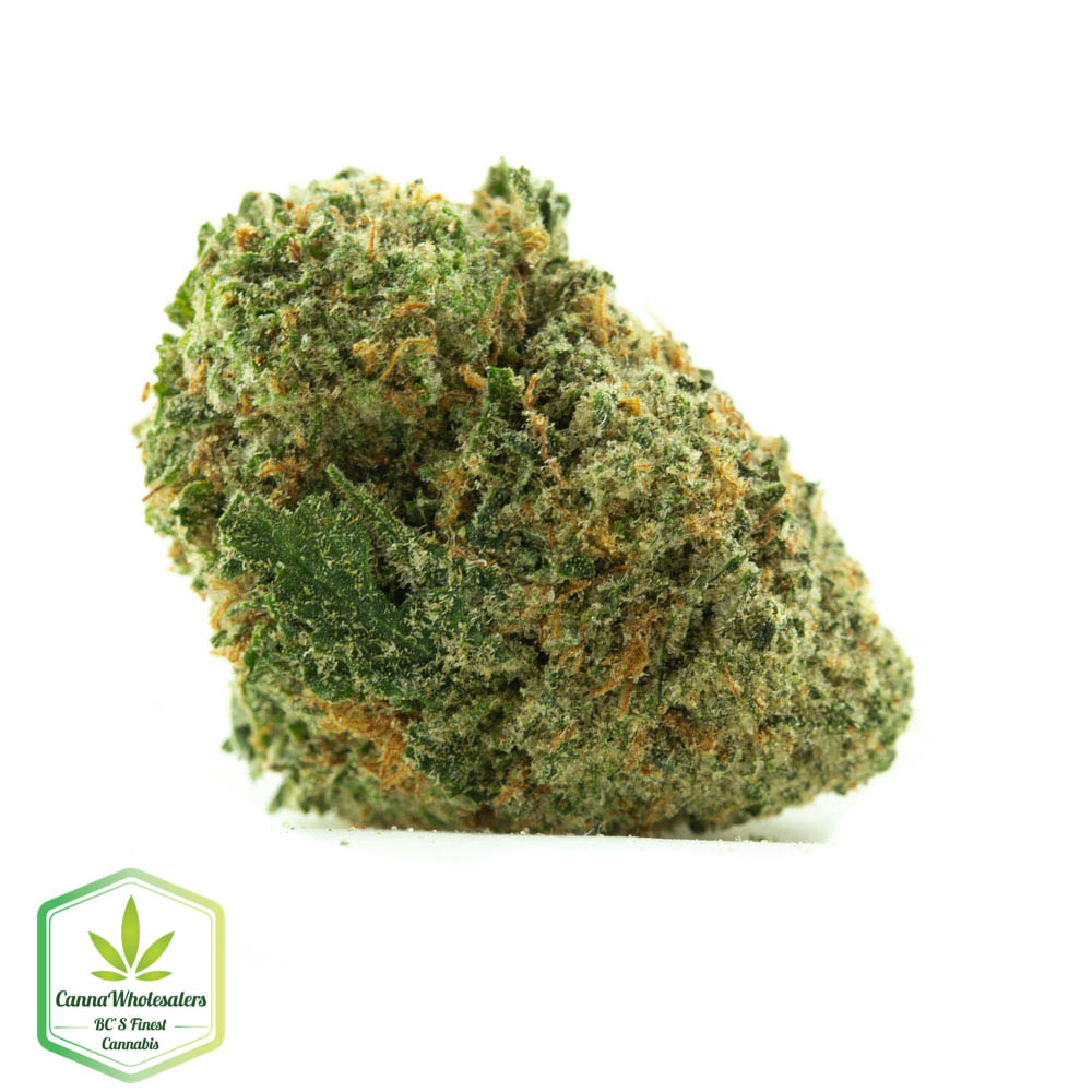 Budget Bulk Acapulco Gold