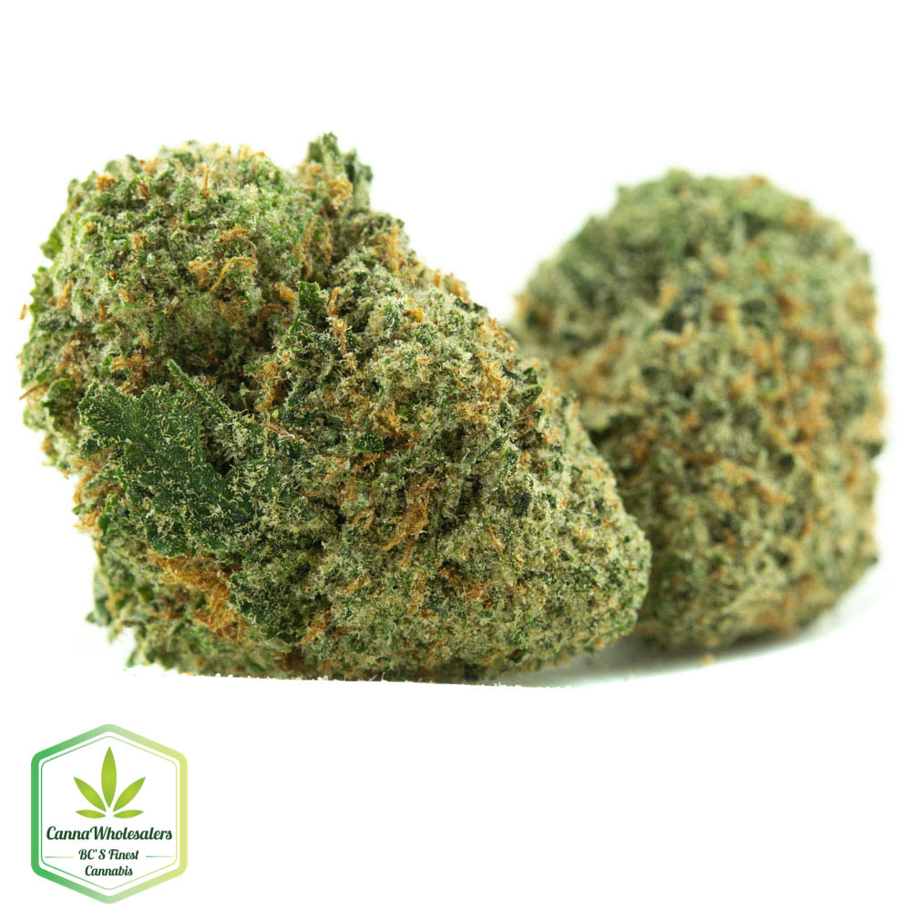 Budget Bulk Acapulco Gold