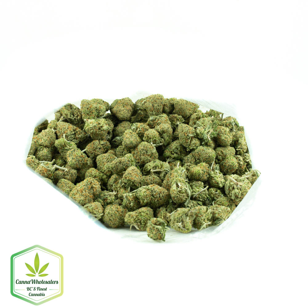 Budget Bulk Acapulco Gold