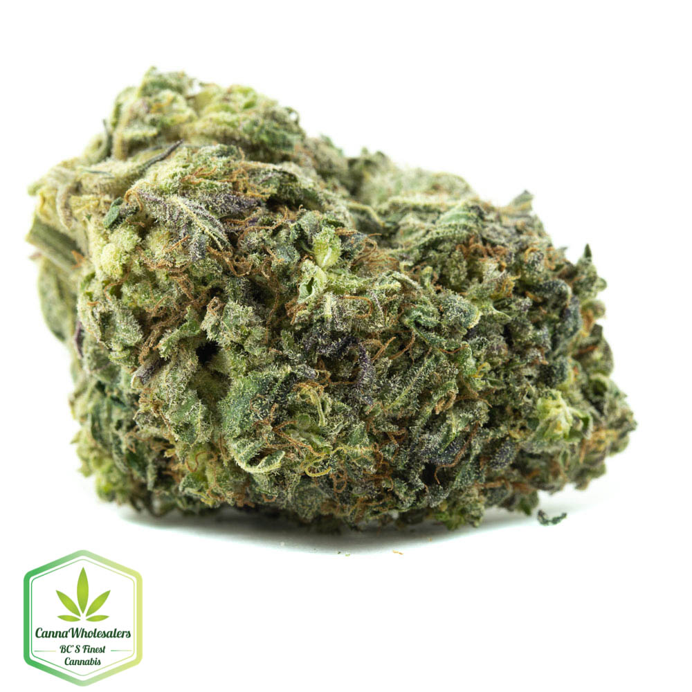Ayahuasca Purple