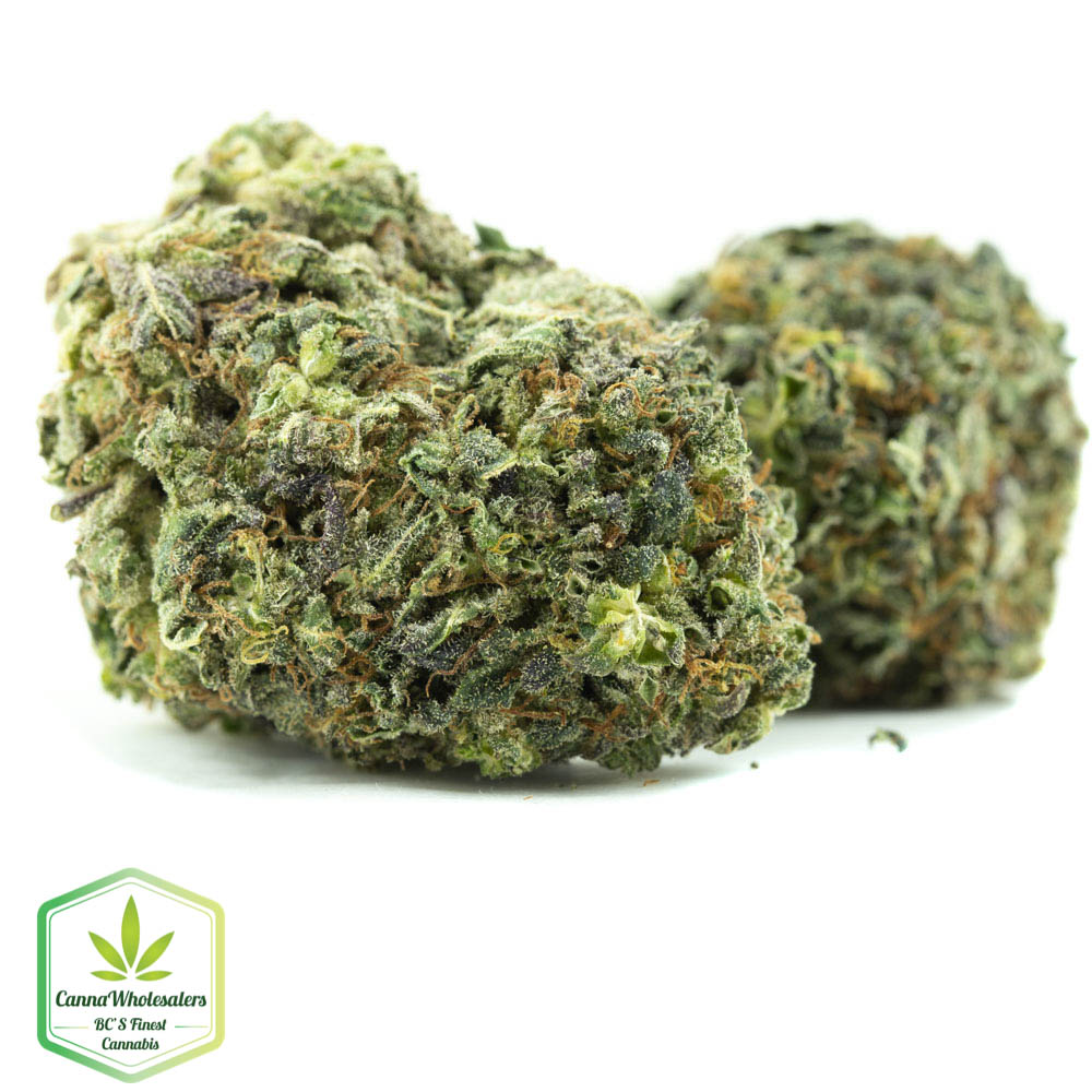 Ayahuasca Purple