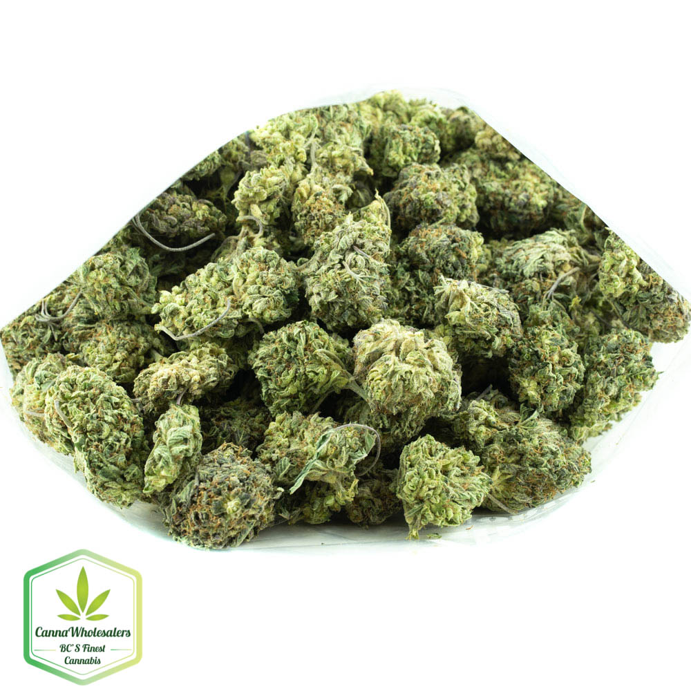 Ayahuasca Purple