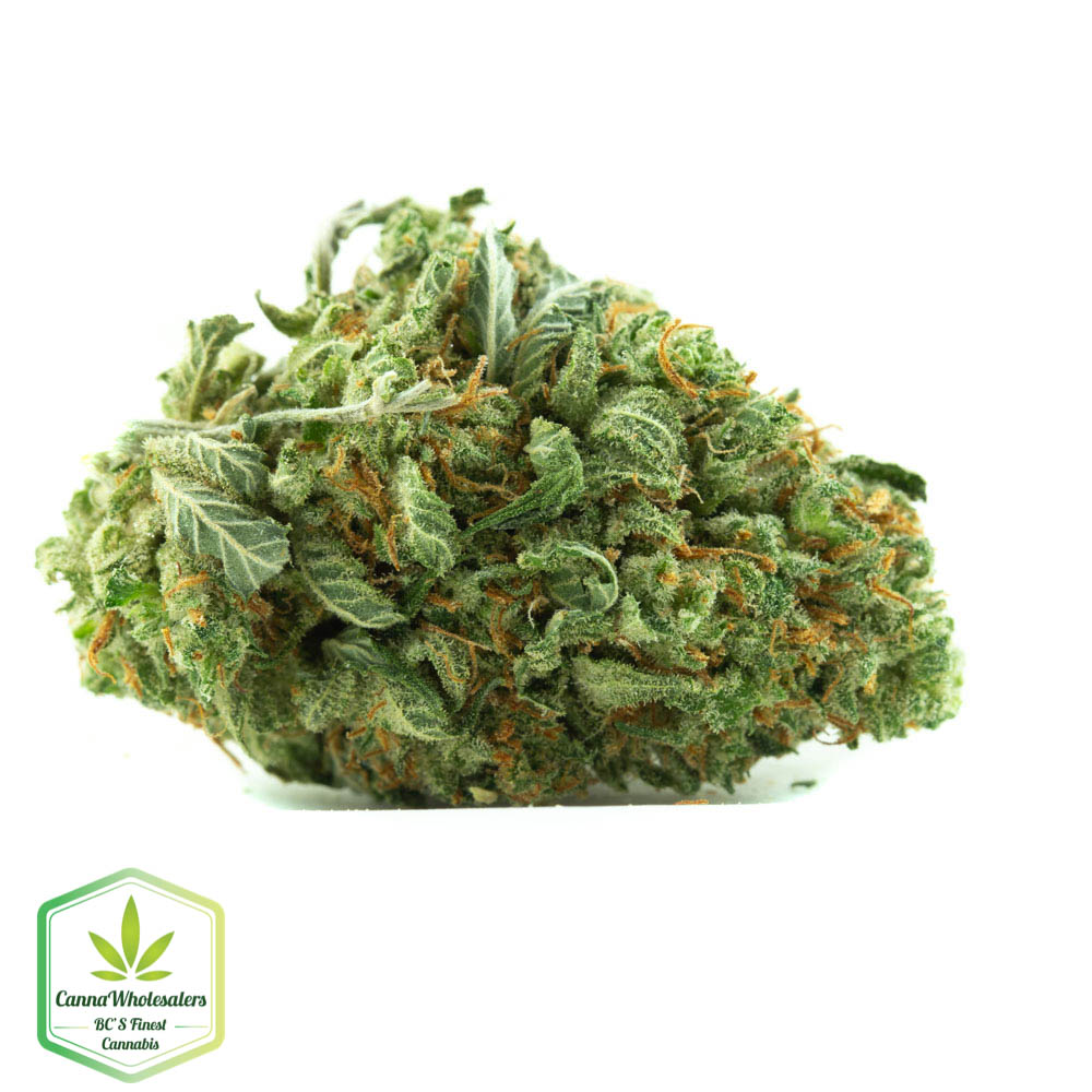 Budget Bulk Cannalope Haze