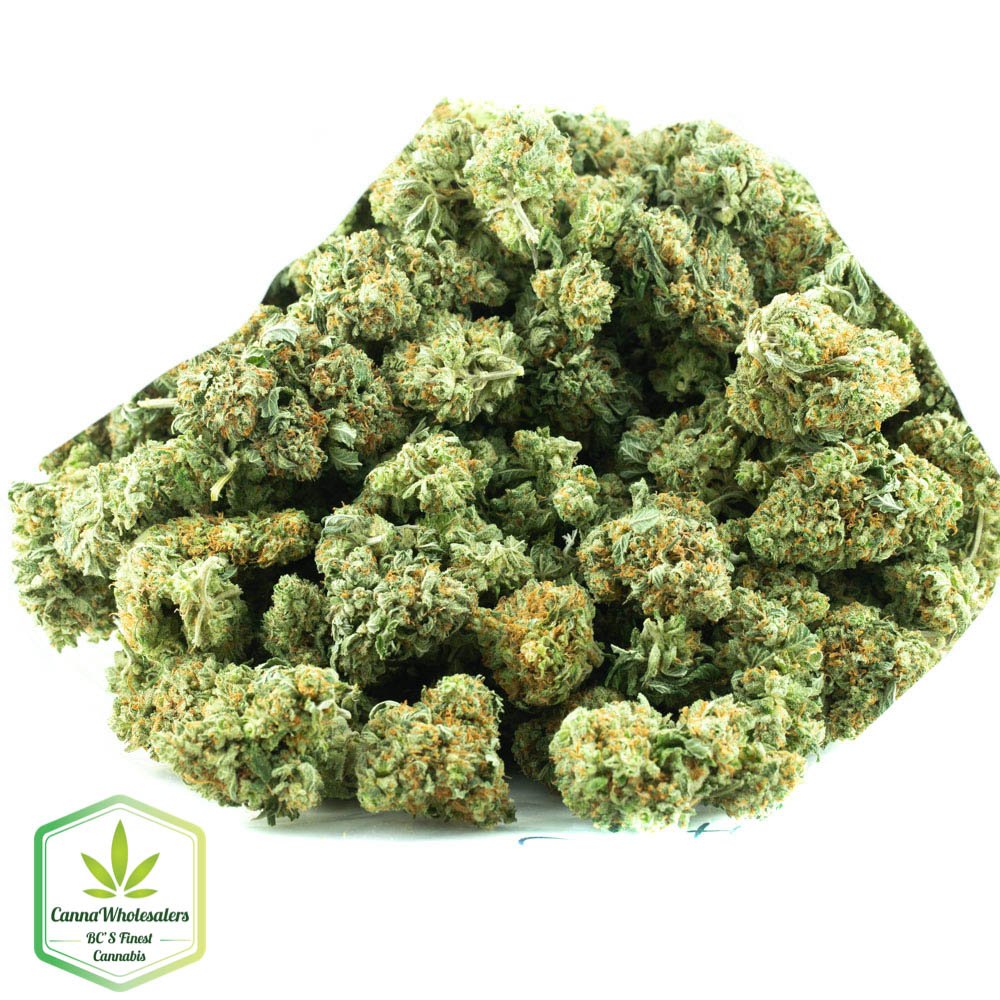 Budget Bulk Cannalope Haze