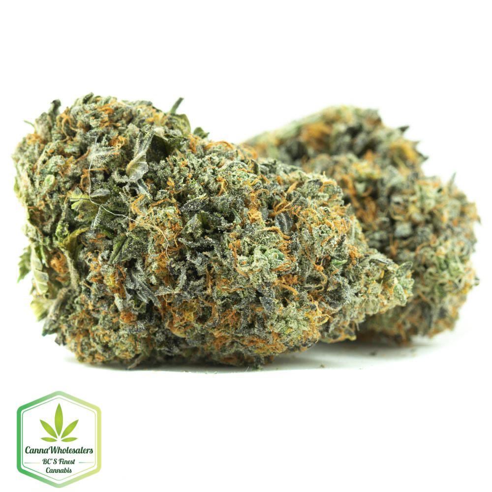 Forbidden Zkittlez