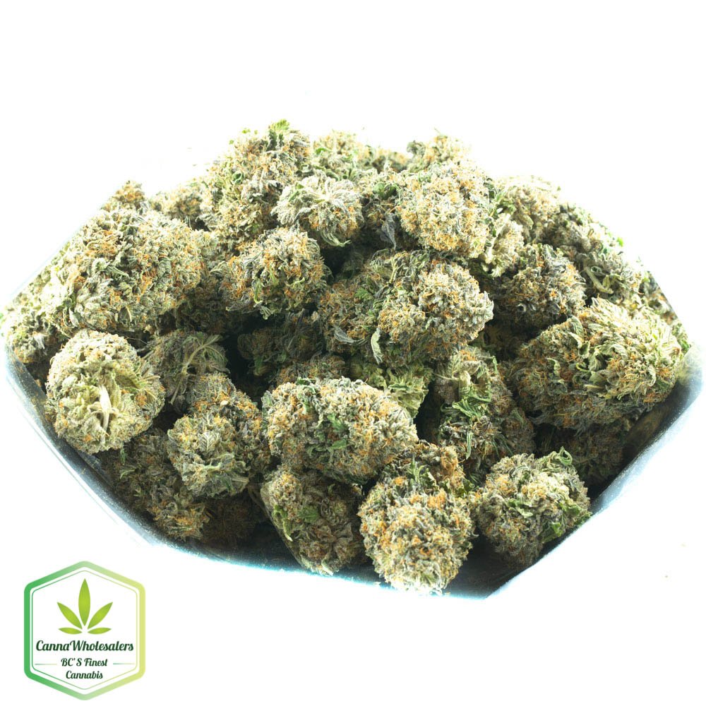 Forbidden Zkittlez