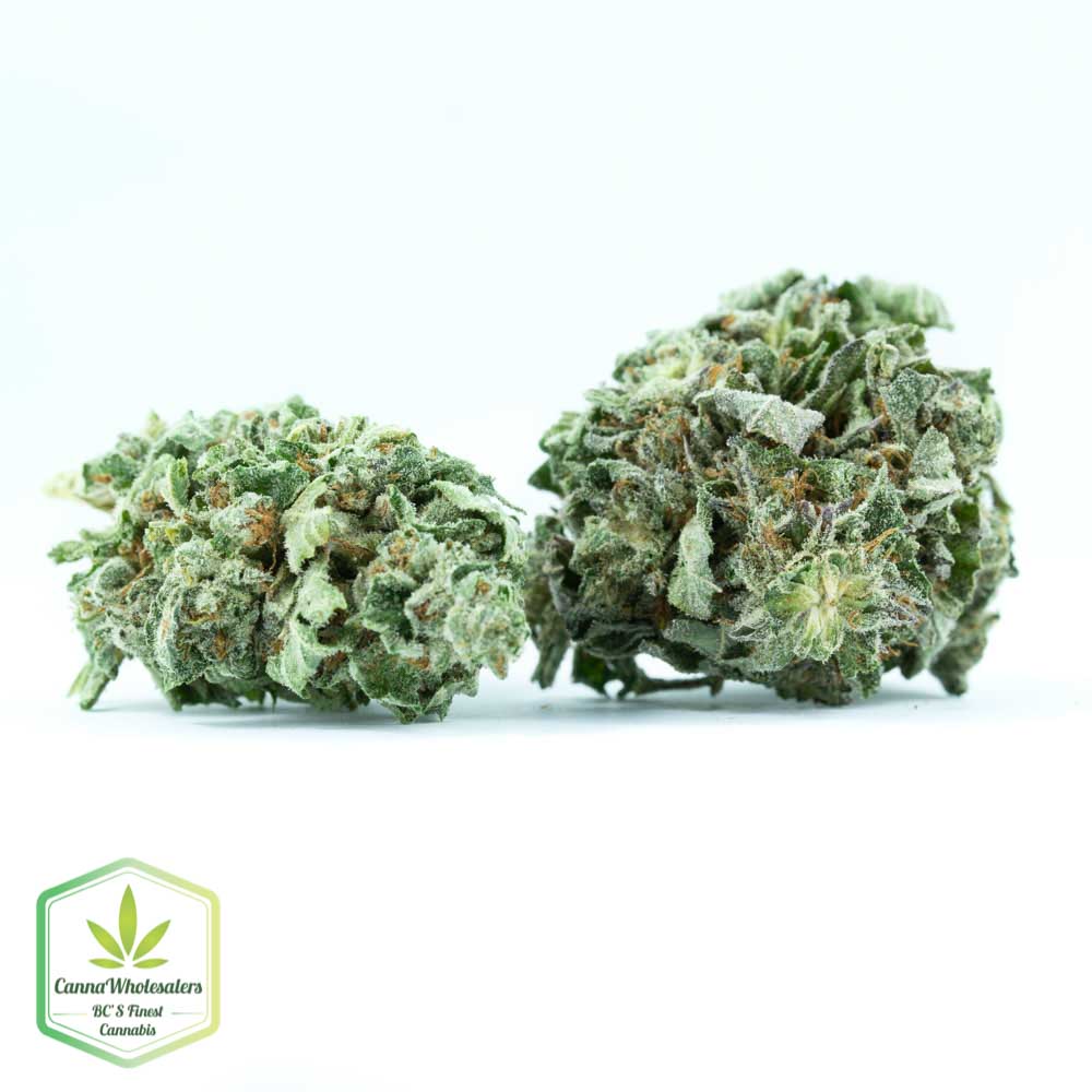 Hash Plant