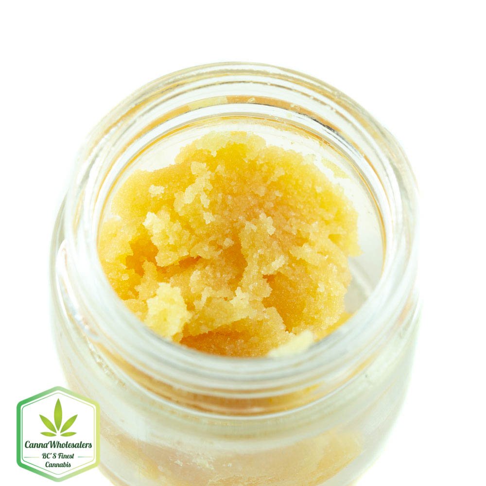 Headband Live Resin
