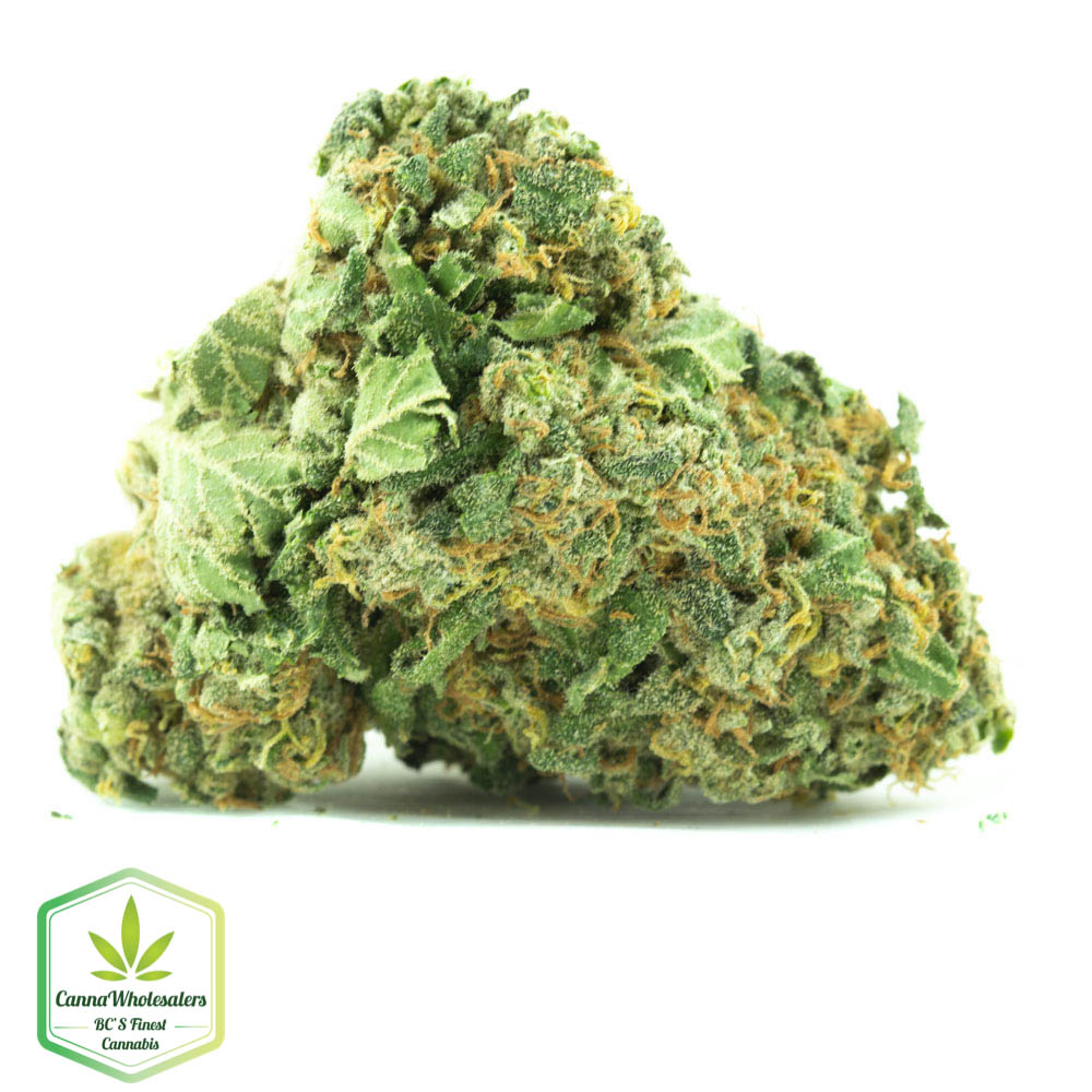 Jack Haze