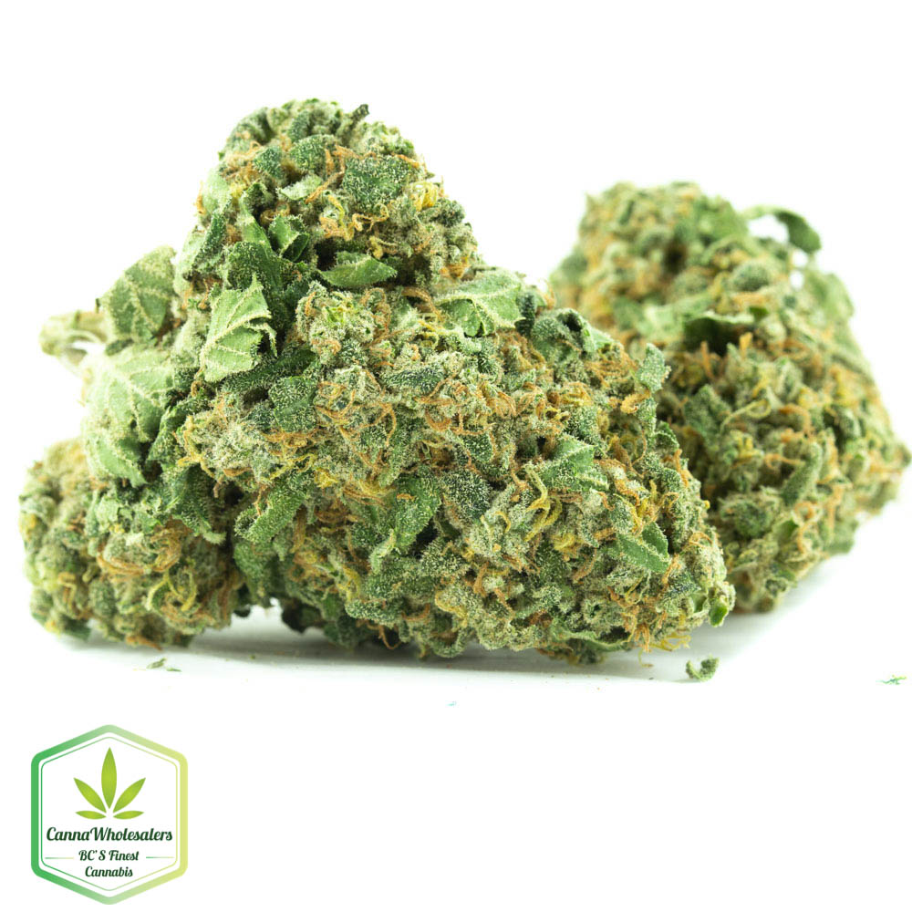 Jack Haze