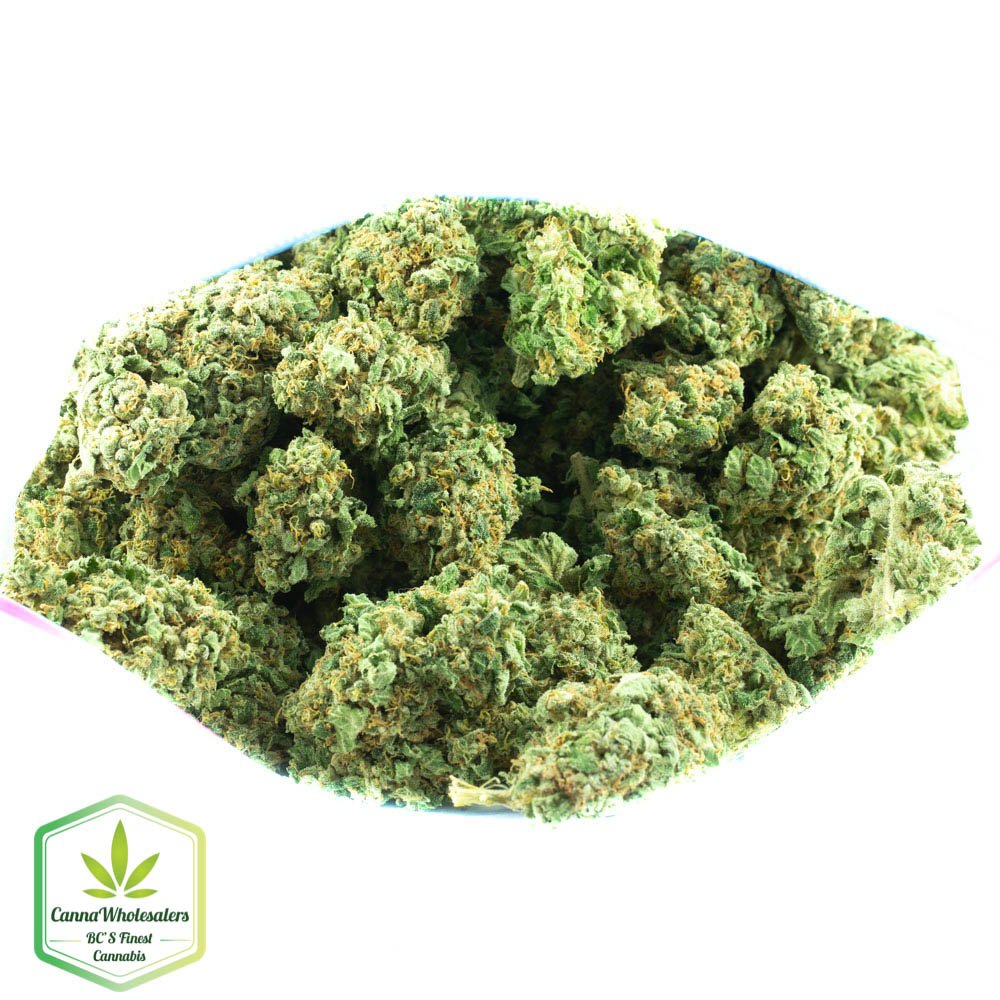 Jack Haze