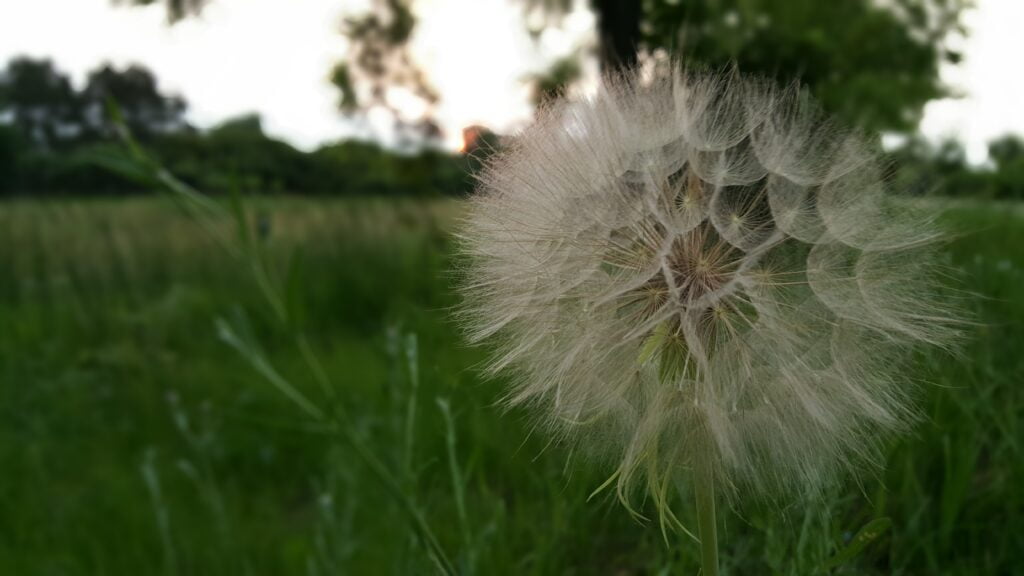 Medical Marijuana is a Booming Business