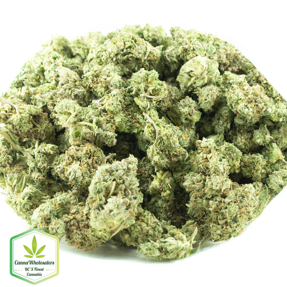 Budget Bulk OG Kush