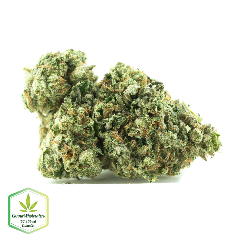 Budget Bulk Master Kush