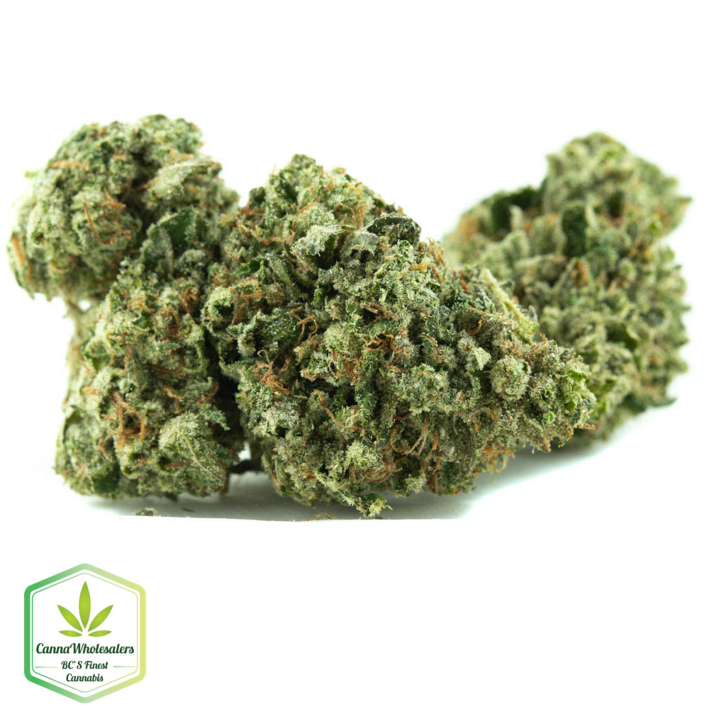Budget Bulk Master Kush