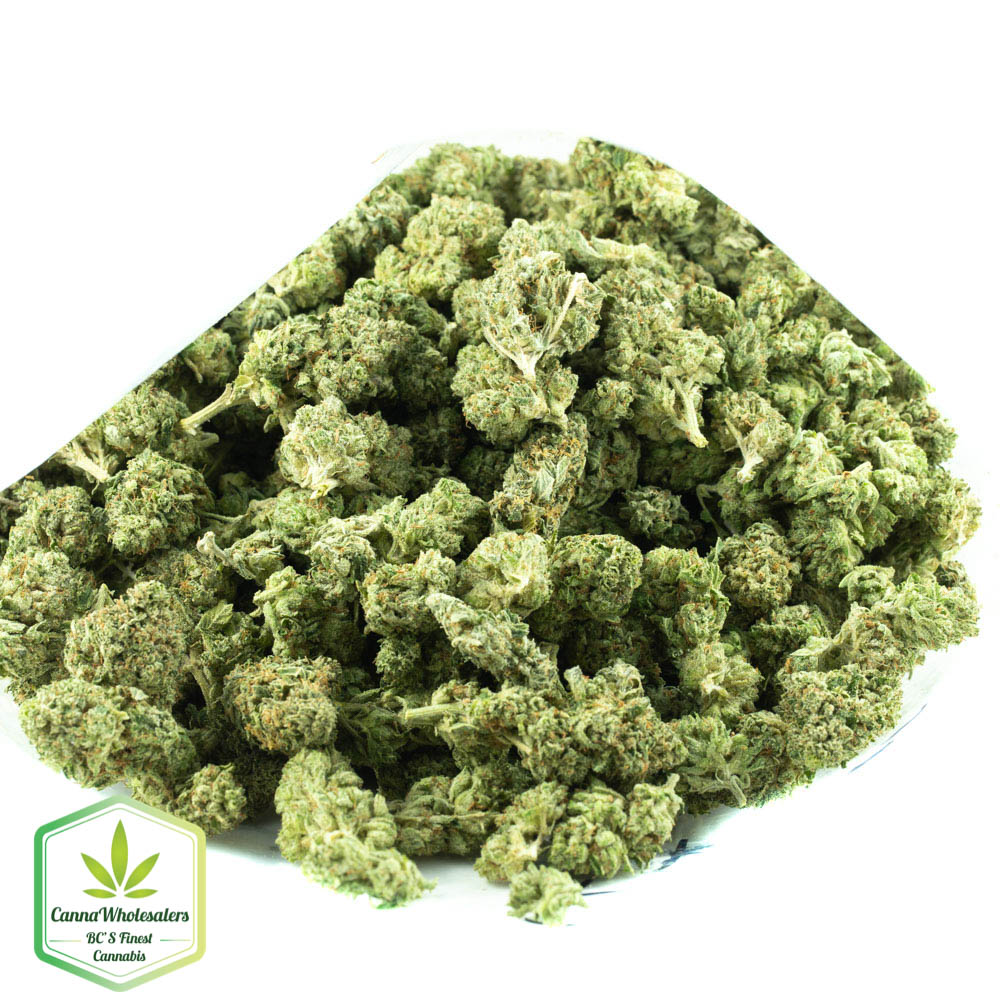 Budget Bulk Master Kush