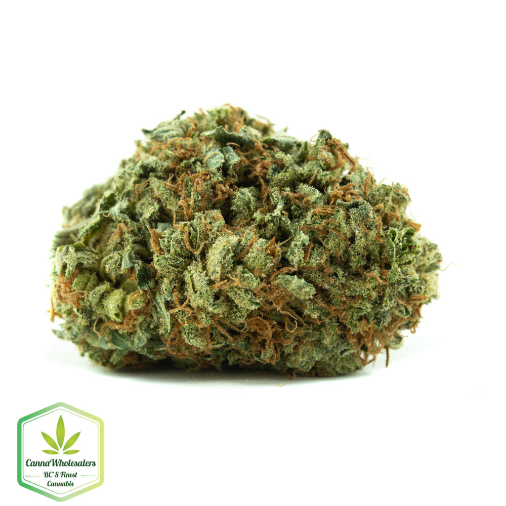 Platinum Girl Scout Cookies