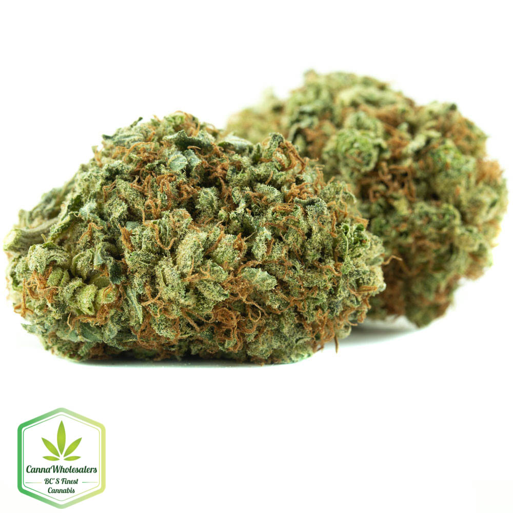 Platinum Girl Scout Cookies