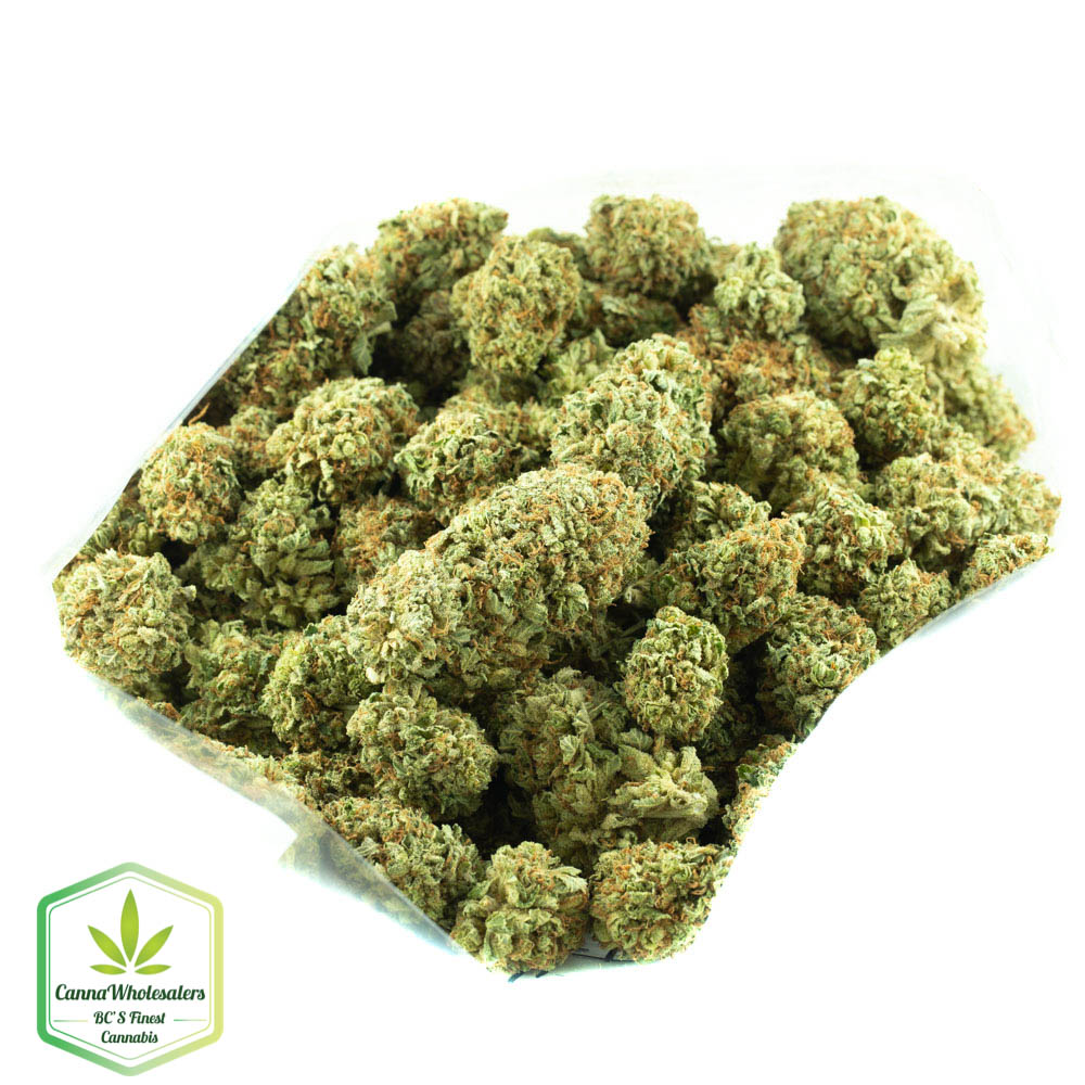 Platinum Girl Scout Cookies